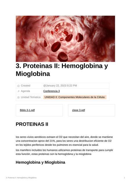 Proteínas II Hemoglobina y Mioglobina Wilfredo Guillermo Rodriguez