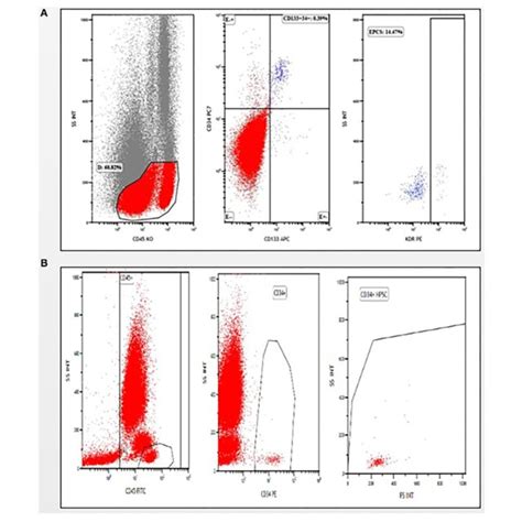 Gating Strategies A For Analyzing Cd45 − Cells To Identify And