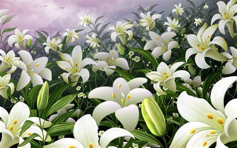 Lily Flowers Wallpapers - Wallpaper Cave