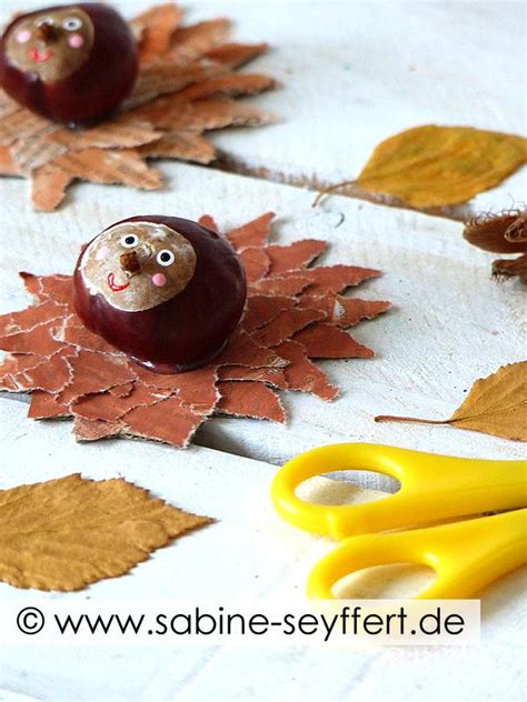 DIY Basteln mit Kindern Süße Igel aus Kastanien Pappe und