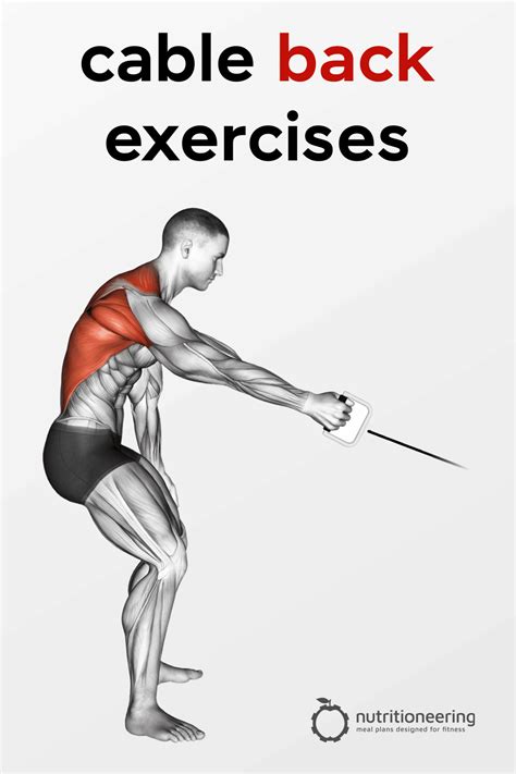 19 Unique Cable Back Exercises for a Complete Workout