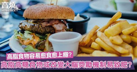 【高脂食物】高脂高糖食物或會改變大腦獎勵機制？容易愈食愈上癮使人更易跌入致肥陷阱！？