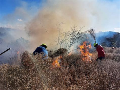 Lo Que Debes Saber De Los 2 Incendios Forestales Que Azotan Hidalgo