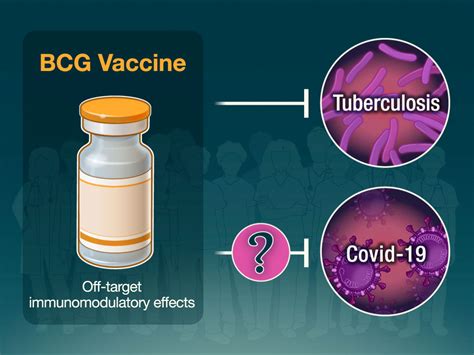 Bcg Vaccination To Protect Against Covid 19 In Health Care Workers