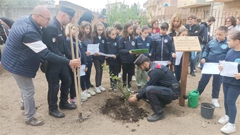 Reggio L Arma Celebra La Giornata Dell Albero All Ic Radice Alighieri