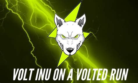 Voltichange Ready to Enhance the Volt Inu Universe | News Direct