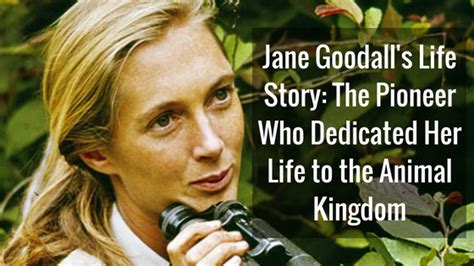 Video Jane Goodalls Life Story The Pioneer Who Dedicated Her Life