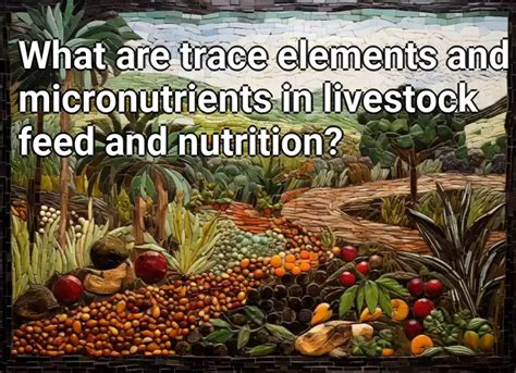 What Are Trace Elements And Micronutrients In Livestock Feed And