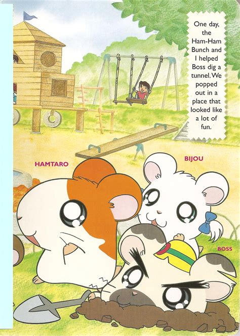 Hamtaro Let S Play Vol A Playground For Ham Ham Ritsuko Kawai