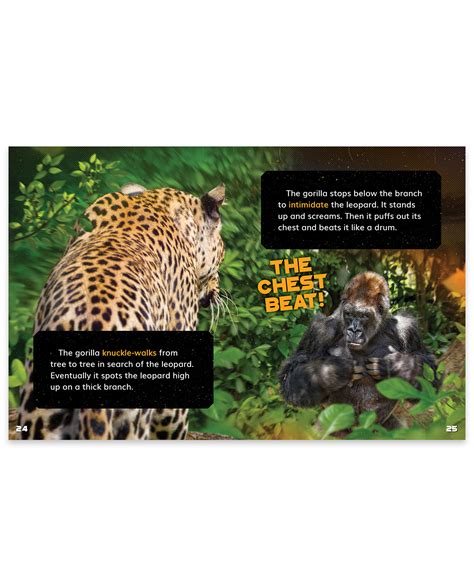 Gorilla vs. Leopard – eBook – Gray Duck