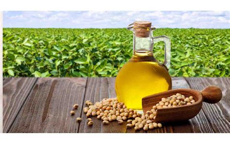 soybean oil guest post write    submit post