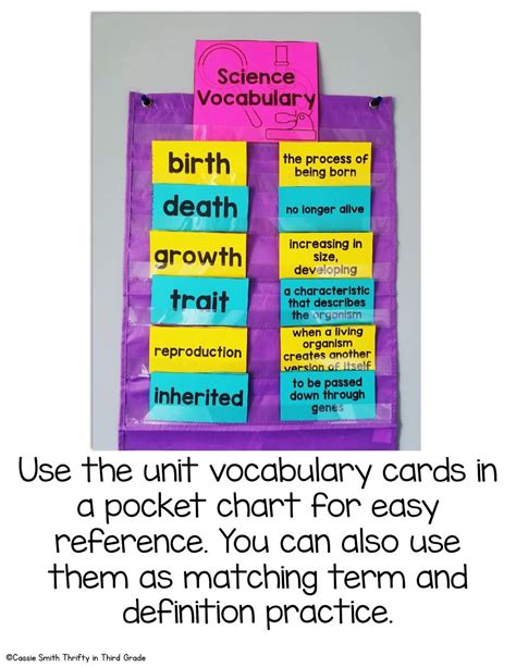 Inheritance And Traits Rd Grade