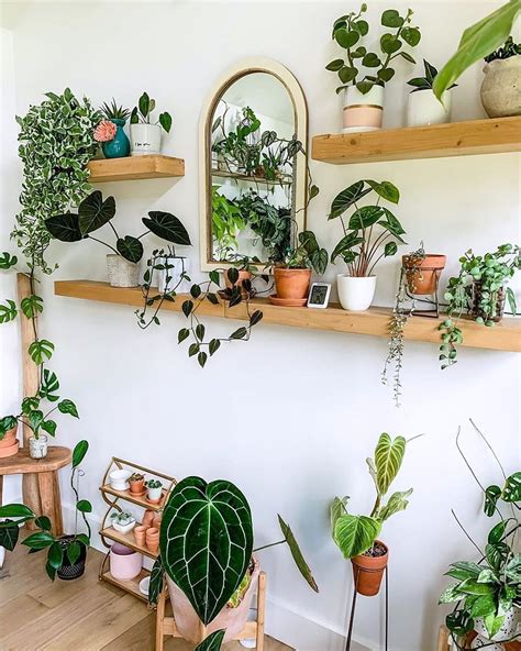 Ideas Para Hacer Estantes O Repisas Para Plantas Arkihome