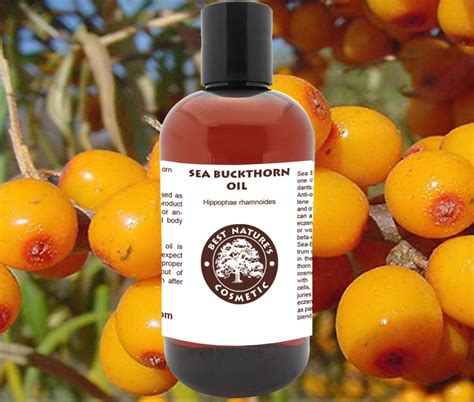 100 Pure Sea Buckthorn Fruit Berry Oil Cold Pressed Unrefined Etsy