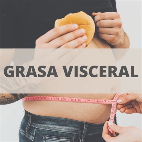 Grasa Visceral C Mo Prevenirla Riusec Nutrici N