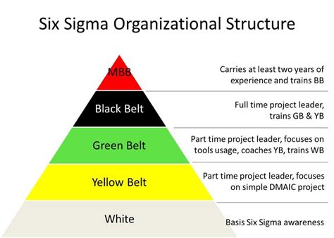 Lean Six Sigma Belts Levels | Video Bokep Ngentot