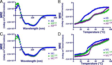 Coiled Coil Destabilizing Residues In The Group A Streptococcus M