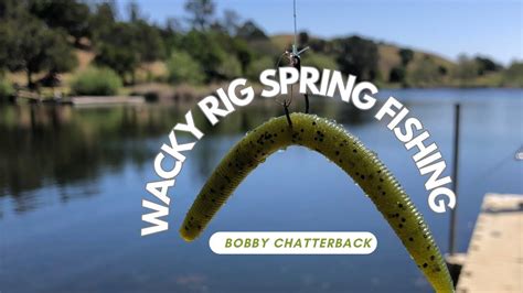 Spring Bass Fishing With The Wacky Rig Youtube