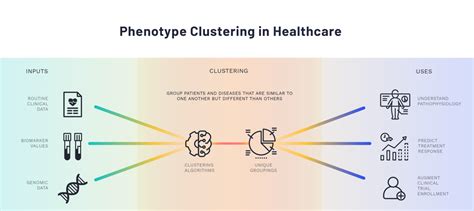 The Promise Of Phenotype Clustering With Human Physiology Data