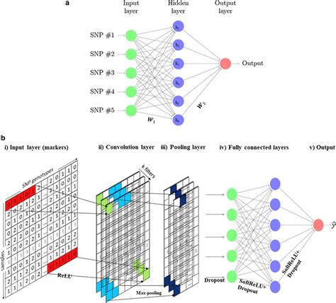 A Representation Of A Multilayer Perceptron MLP Network Each Unit Is