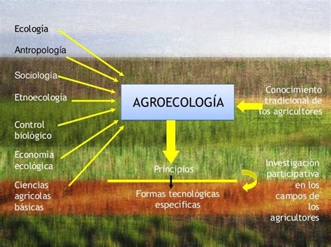 La agroecología clave para una población y un planeta saludable