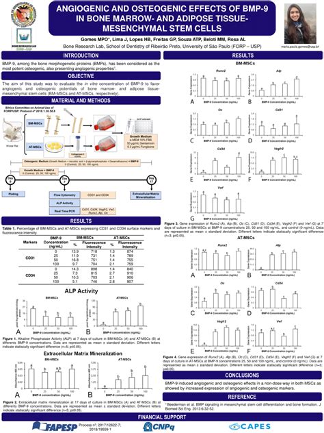 Pdf Angiogenic And Osteogenic Effects Of Bmp In Bone Marrow And