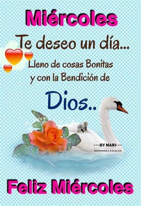 A White Swan With An Orange Rose In Its Beak And The Words Dios Written