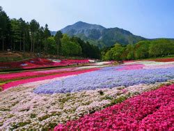 Microbe Hitsujiyama Park Porn Photo Pics