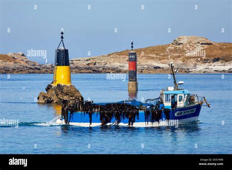 France Finistère Côte Des Légendes Ploudalmézeau Gardien De But Revenant De La Pêche Dans Le