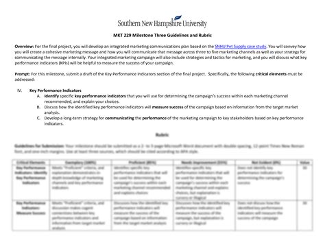 Solution Mkt Milestone Three Guidelines And Rubric Studypool