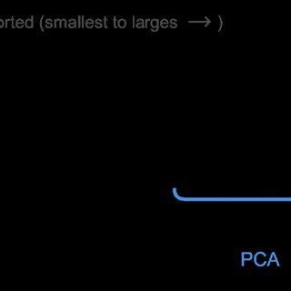 PCA and NPCA algorithm | Download Scientific Diagram
