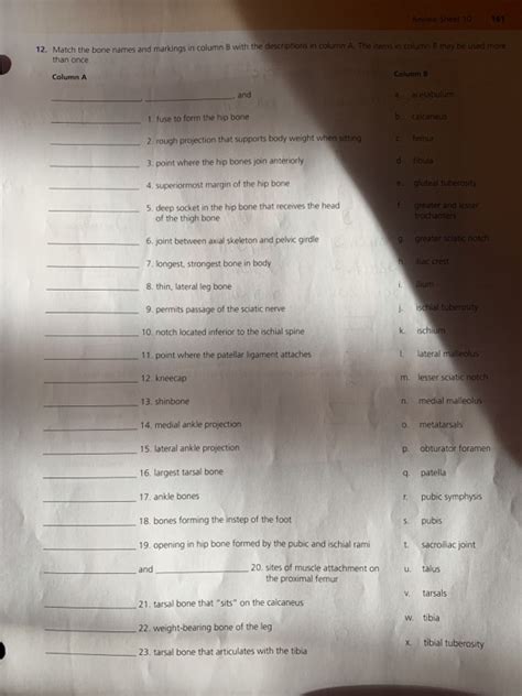 Solved Review Sheet 10 61 12 Match The Bone Names And Chegg