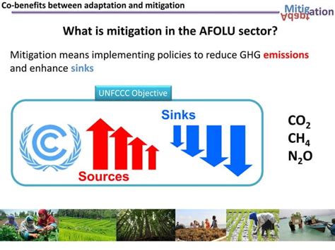 Co Benefits Between Adaptation And Mitigation Ppt