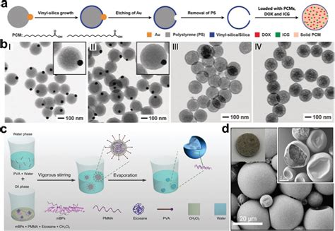 Single Core‐shell Npcms A Template Synthesis Schematic Of Core‐shell