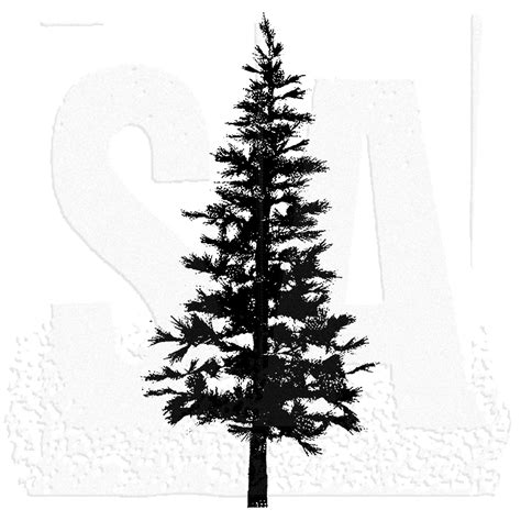 Pine Tree Silhouette Tattoo at GetDrawings | Free download