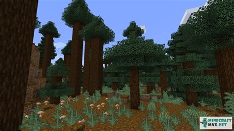 Giant Tree Taiga How To Craft Giant Tree Taiga In Minecraft