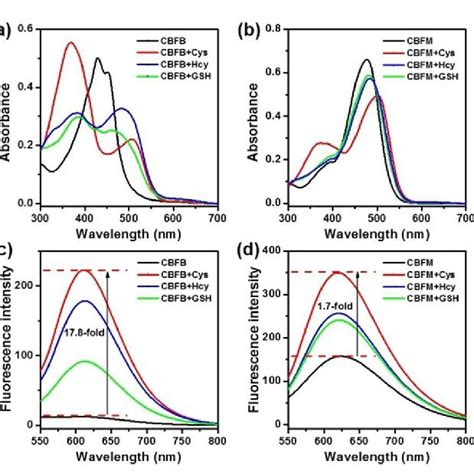 The Uv Vis Absorption Spectra Of A Cbfb And B Cbfm 10 µm And