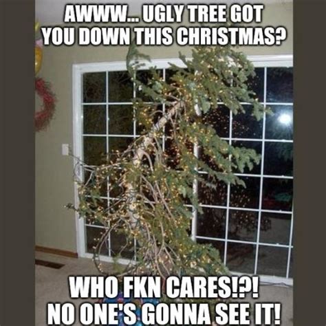 Funny Christmas Tree Memes Worth Sharing On Social Media