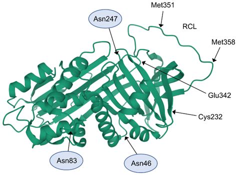 Ijms Free Full Text Post Translational Modifications Of Circulating