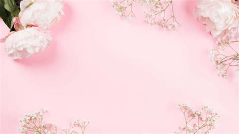 100 Baby Pink Backgrounds