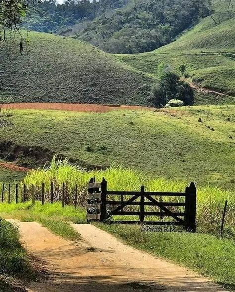 A Dirt Road Going Through A Lush Green Field Next To A Wooden Gate On