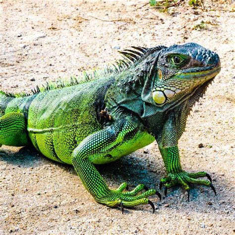 Tayrona National Park – The Green Adventurers