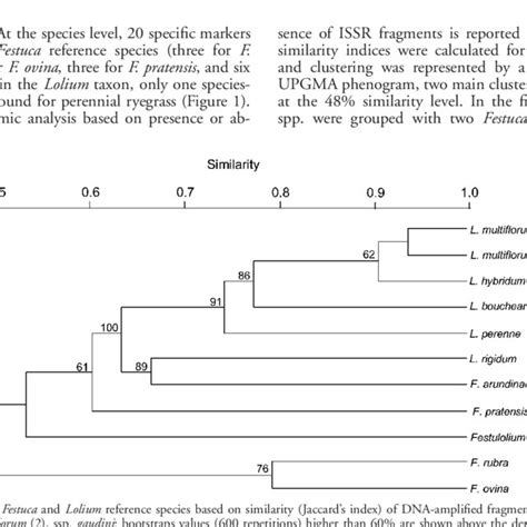 Example Of Inter Simple Sequence Repeats Issr Amplification In Download Scientific Diagram