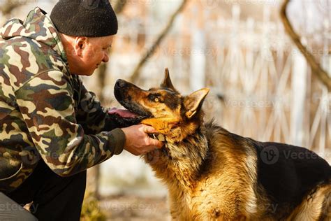 Black German Shepherd training 16480396 Stock Photo at Vecteezy