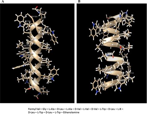 Shows A The Structure Of Double Stranded Hetero Dimeric Beta Helix Download Scientific Diagram