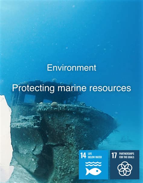 Protecting Marine Resources｜sustainability Company Seiko Watch