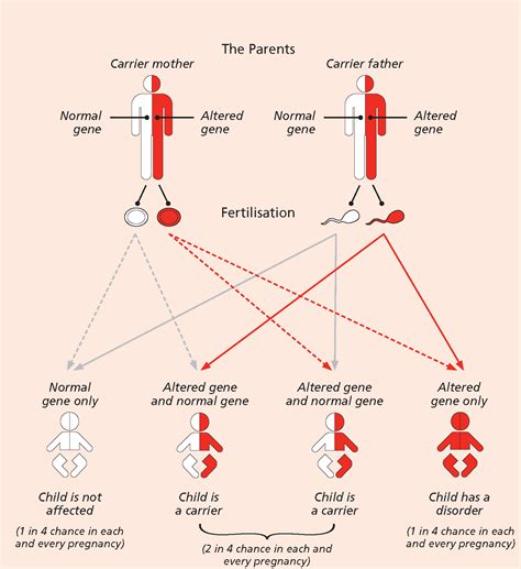 Sickle Cell Disease Know Your Genotype