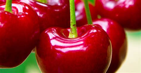 How To Grow And Care For Cherries Lovethegarden