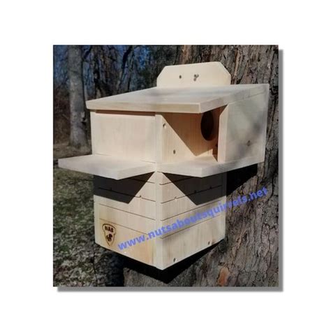 Squirrel House Squirrel Nesting Box Gray Squirrel House Predator