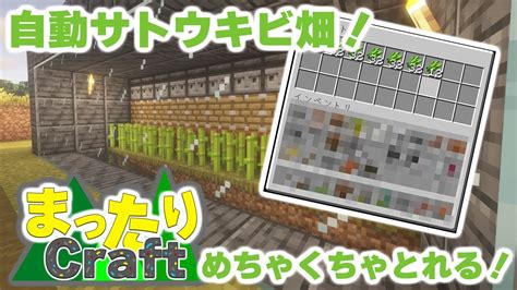 全自動サトウキビ畑を作ってみた！【マイクラ】 Youtube